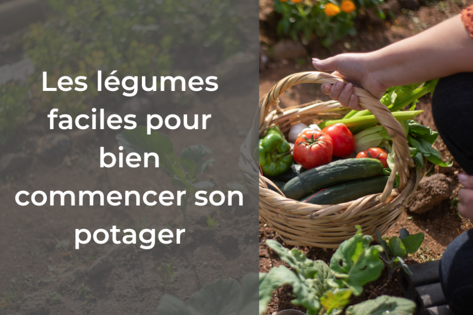 Les légumes faciles pour bien débuter son potager #legumes #potager #association #légumes #jardinage #jardin #potager #jardinbio #potagerbio #jardinpotager #tomate
