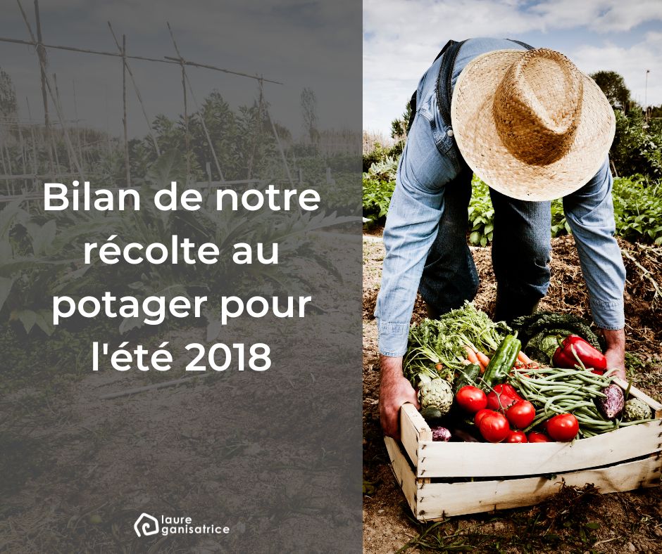 En 2018, nous avons récolté pour 350€ de légumes dans notre potager. Je vous explique tout en détail.