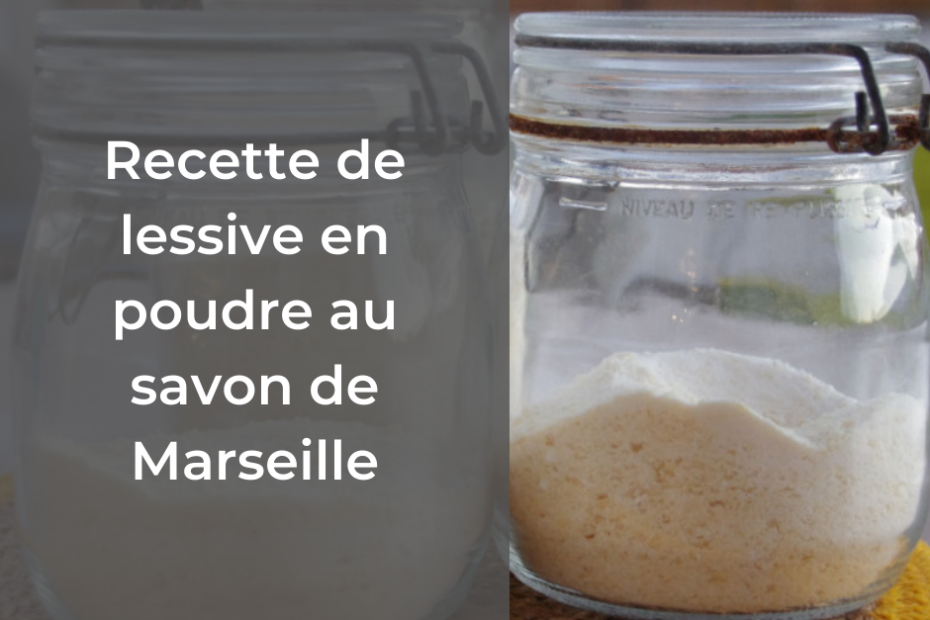 Ma lessive en poudre au savon de Marseille #lessive #écologique #économique #saine #homemade #savon #marseille